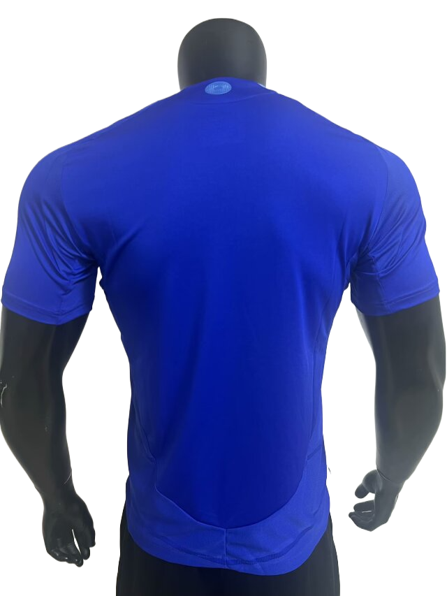 Camiseta Selección Argentina Copa América 2024