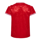 Camiseta Selección Dinamarca Eurocopa 2024